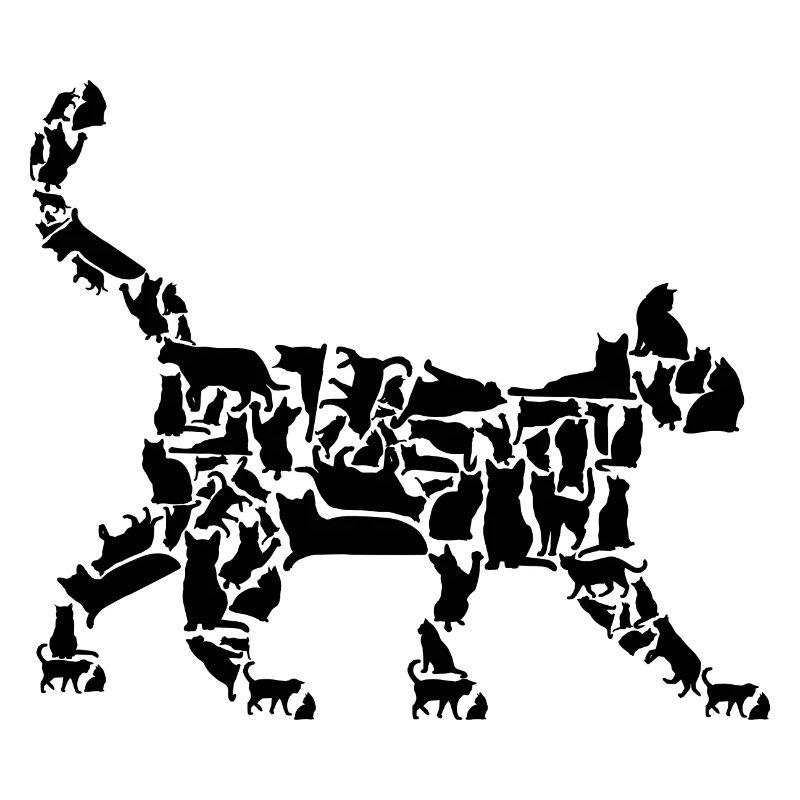 Katze