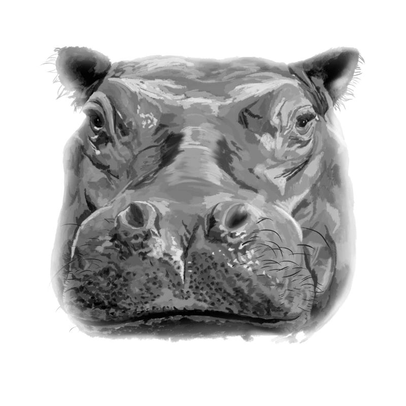 Nilpferd