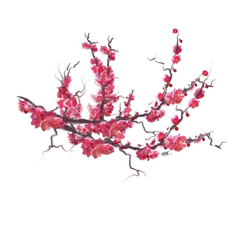 sakura