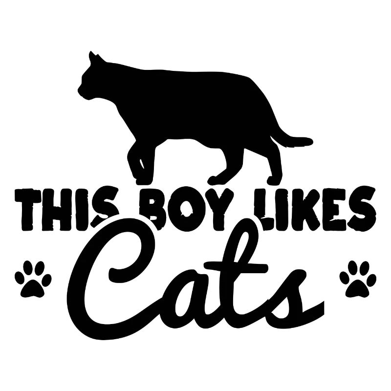 Katzen Junge