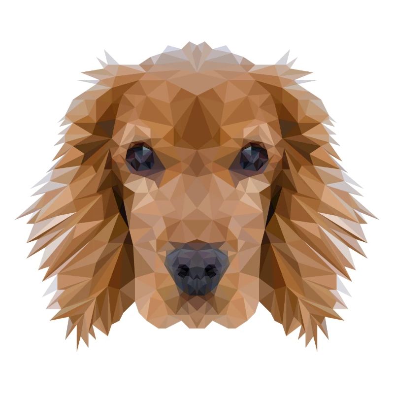 Cocker Spaniel Hund Polygondesign