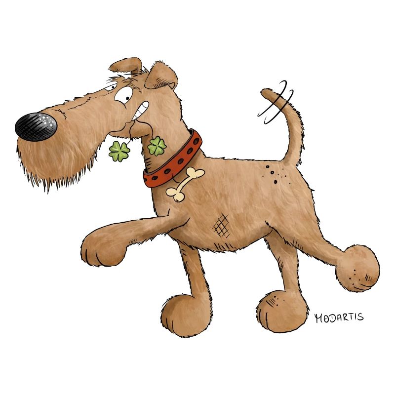 Irish Terrier Hund I Hunderasse