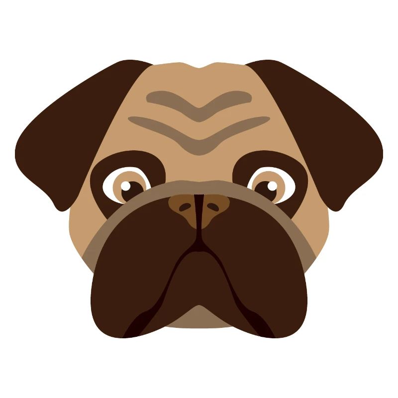 Hund Mops