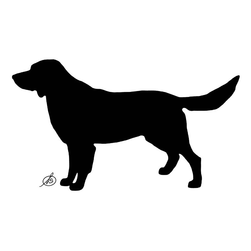 Deutscher Wachtelhund