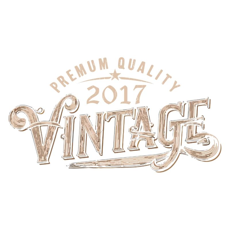 2017 Vintage 2017 Retro 2017 Birthday Gift