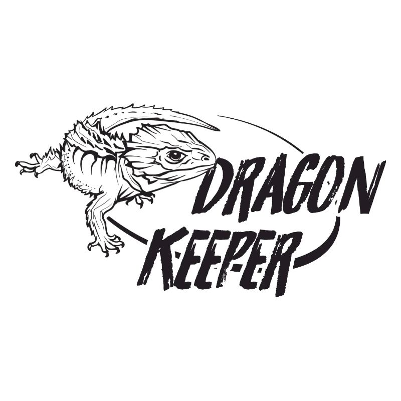 Rotäugiger Krokodil Skink Drachenhüter