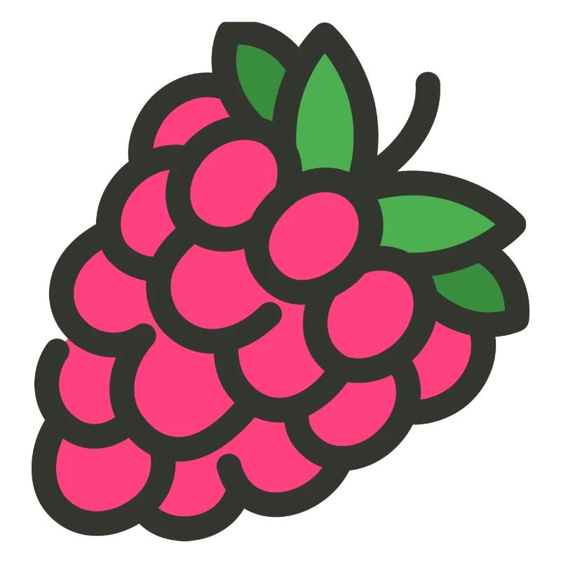 raspberry rasperry fruit veggie vegetables fruits14