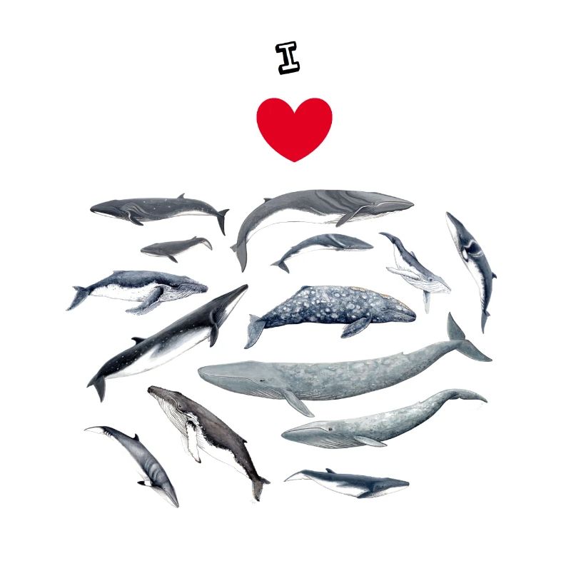 Les baleines aiment - J'adore les baleines - Baleines