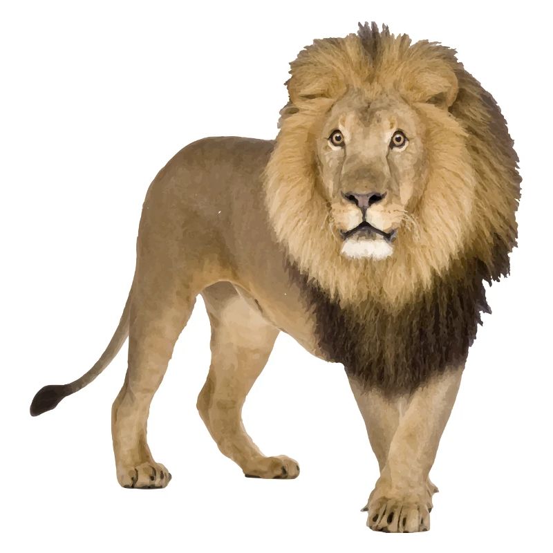 Löwe