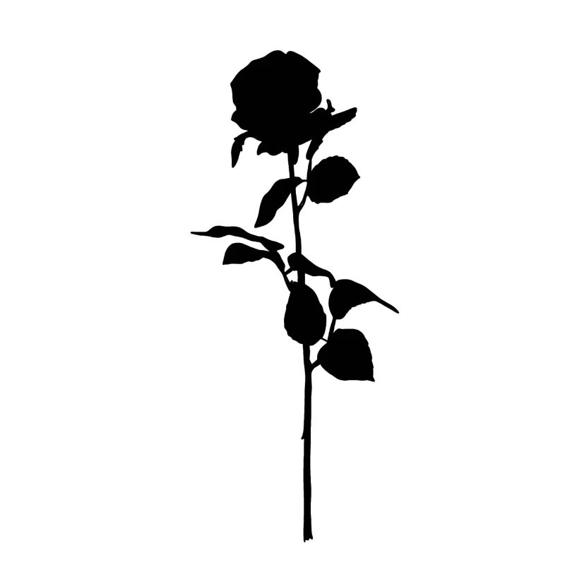 Schwarze Rose