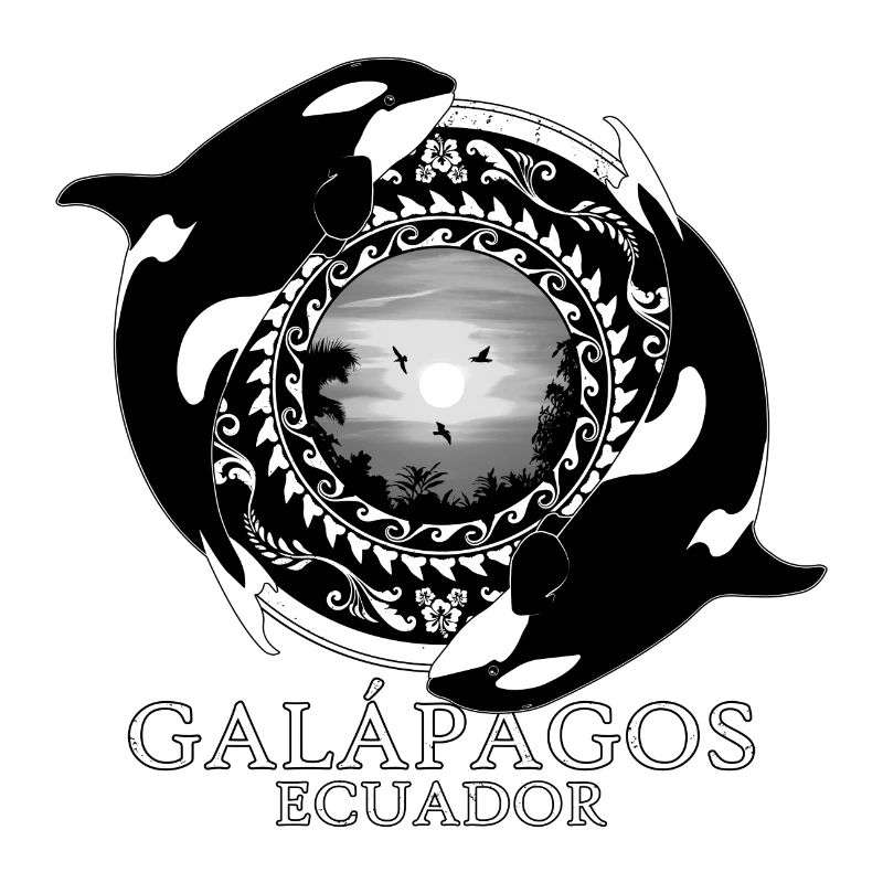 Orca Killer Whales Galápagos Ecuador