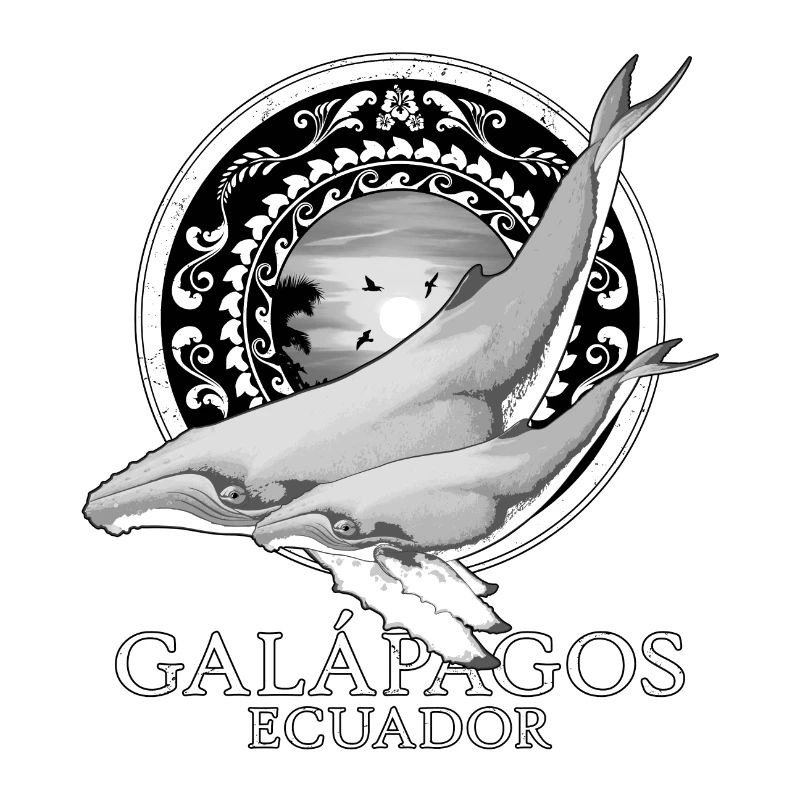 Buckelwale Galápagos Ecuador