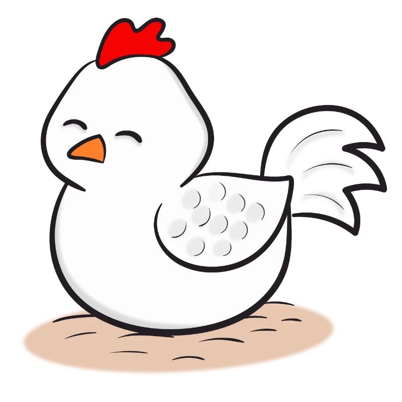 Chicken Chickens
