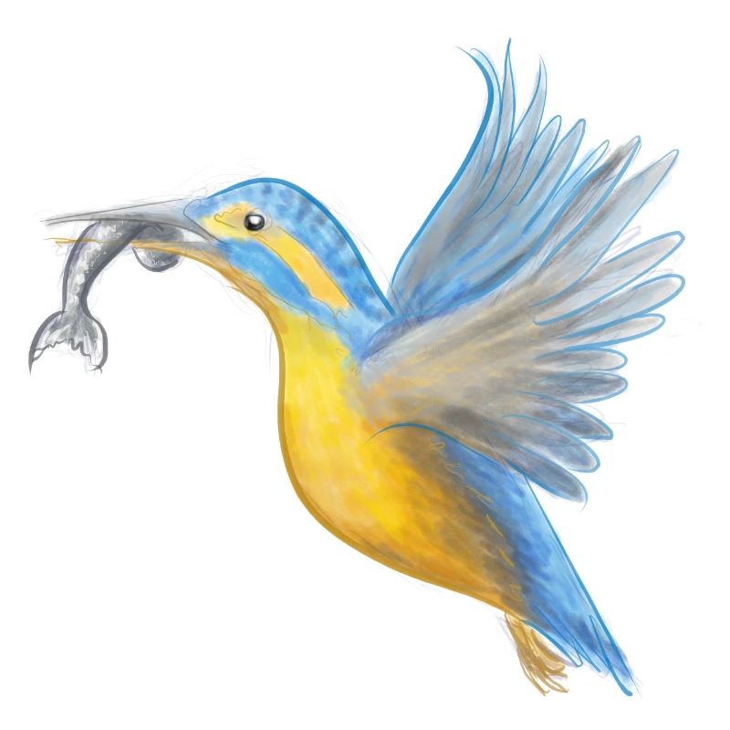 Eisvogel Fangkunst