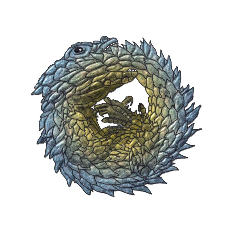 Armadillo Lizzard