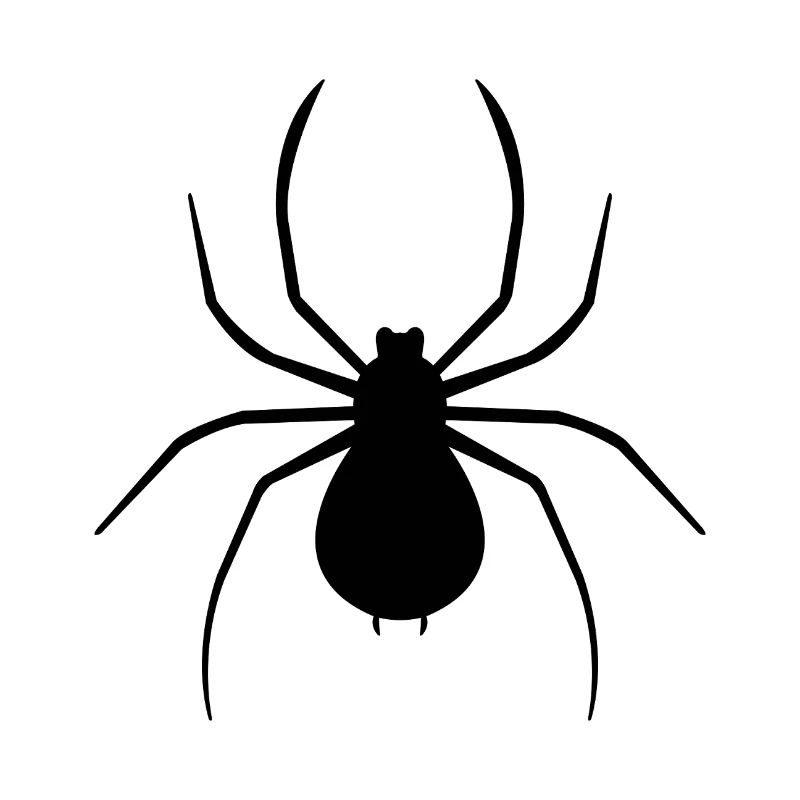 Spinne