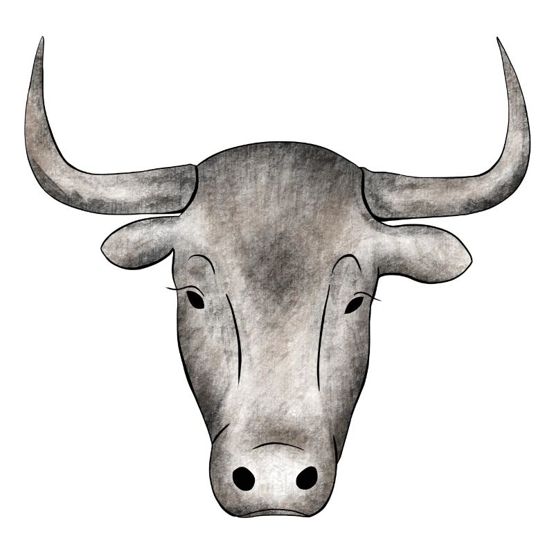 Stier