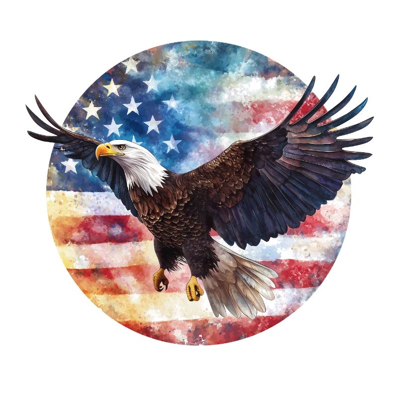 Drapeau Eagle USA