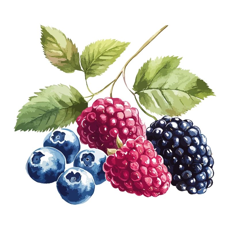 Wild berries Berries Blueberry Raspberry Blackberry