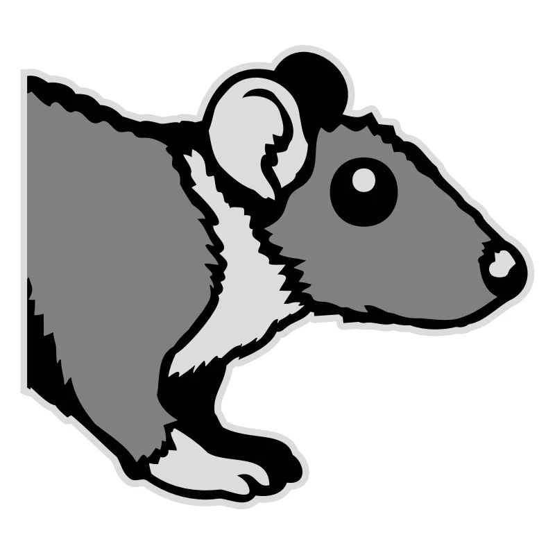 Rat avant Côté semi-curieux rongeur drôle