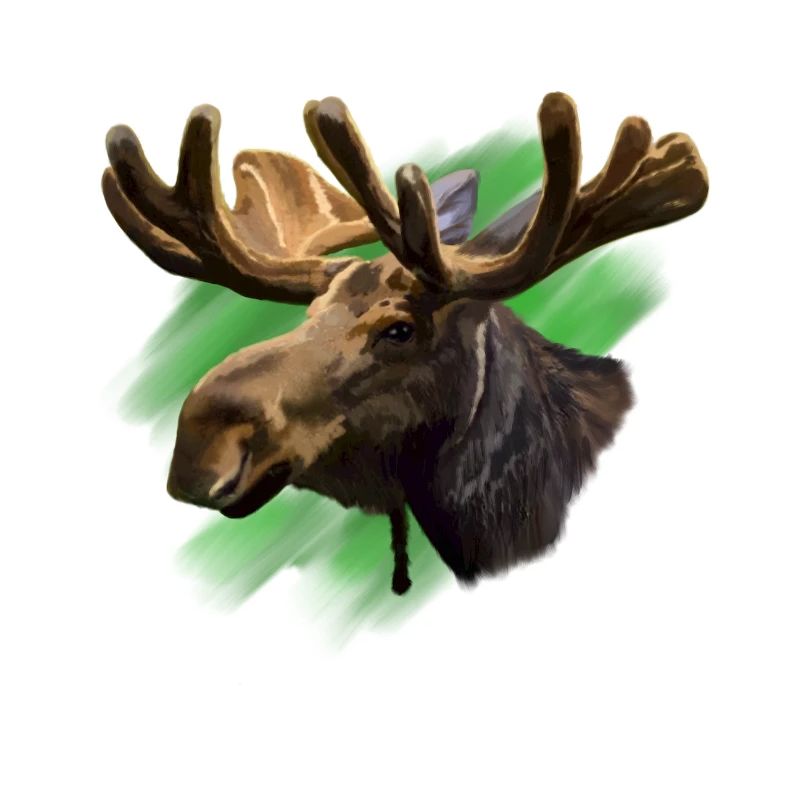 moose