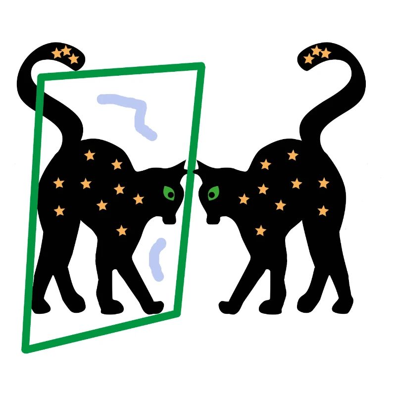 Mirror the Kitten, Abstraction