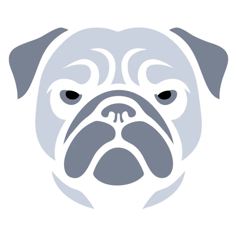 Mops , Hundekopf