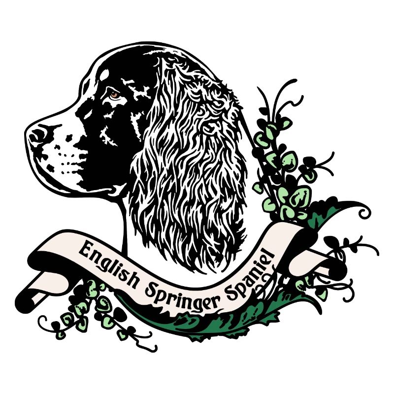 Springer Spaniel Anno 1900