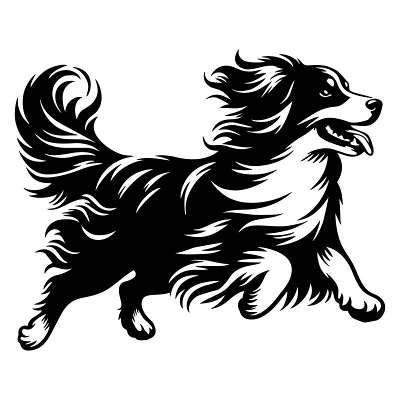 Kooikerhondje