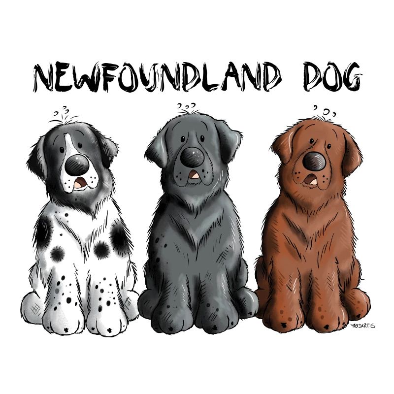 Neufundländer Team
