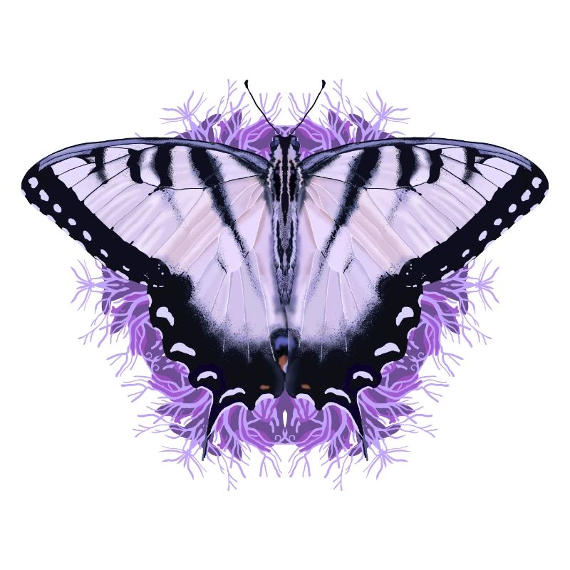 Papillon blanc à fleur pourpre