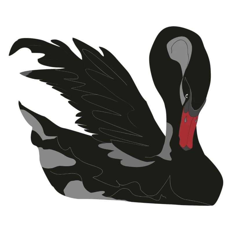 schwarzer Schwan
