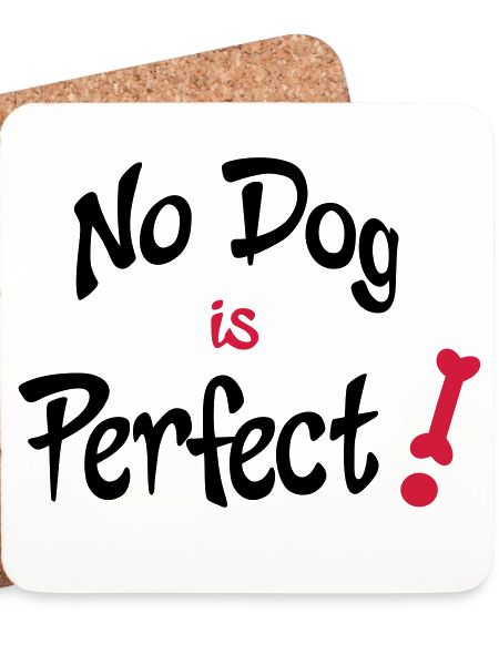 funny dog