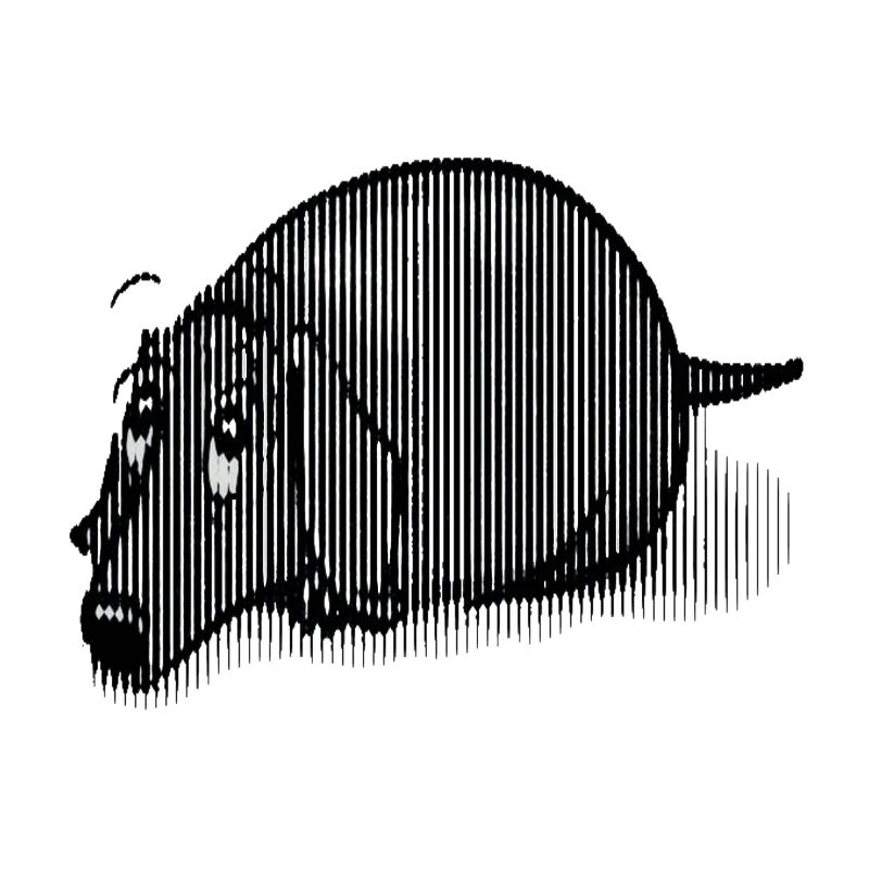 Schwarzer Dackel
