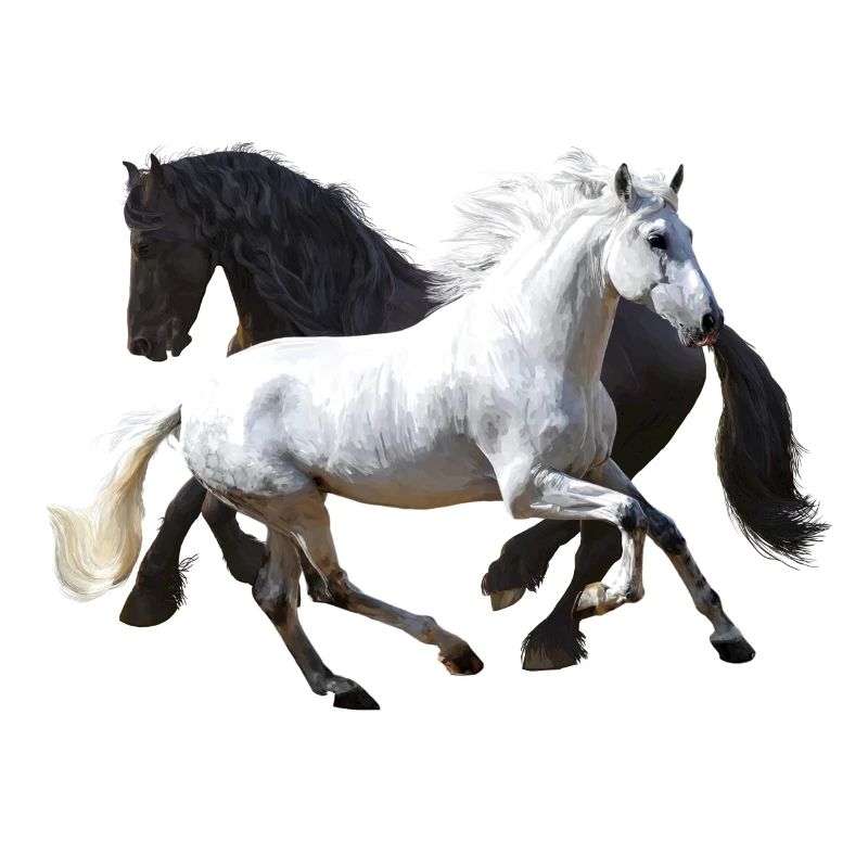 Pferde