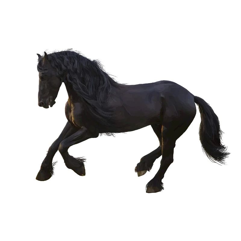 Pferd