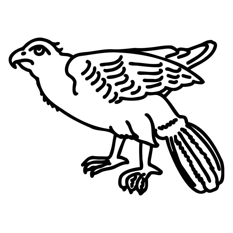 eagle