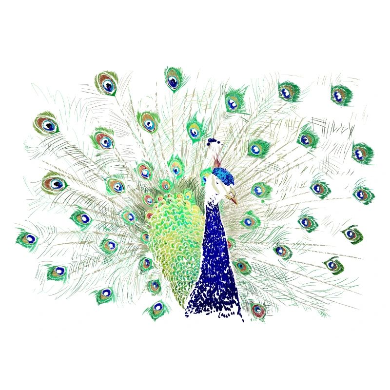Pfau