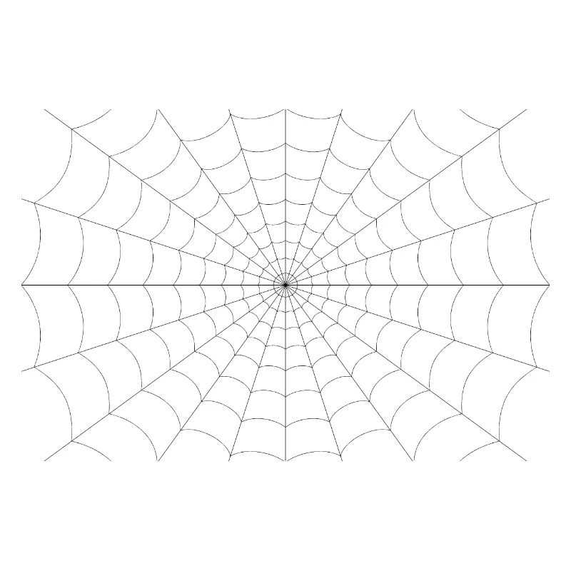 Spider web