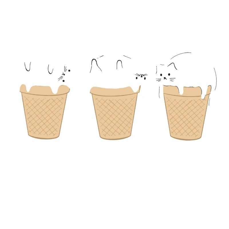 Glace Glacée Chat Drôle de Chat Bébé Glace