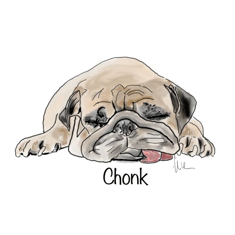 chonk