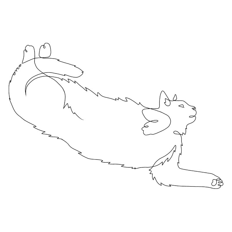 Kater Orco
