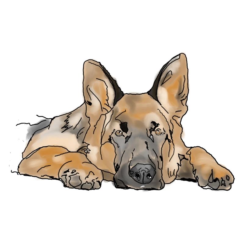 Schäferhund