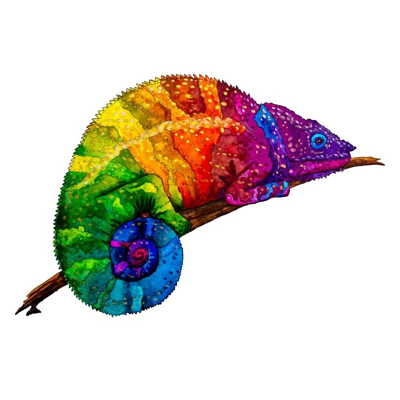 Regenbogenchamaeleon
