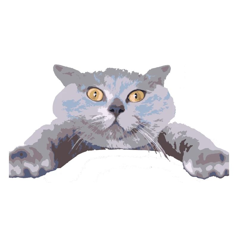 Katze -