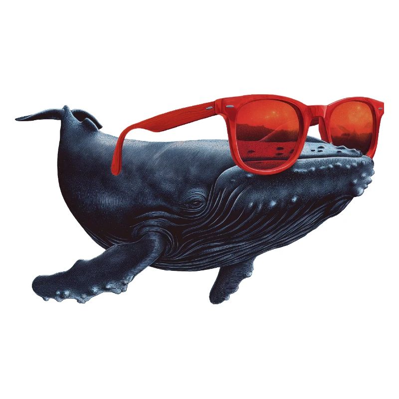 Wal mit Sonnenbrille