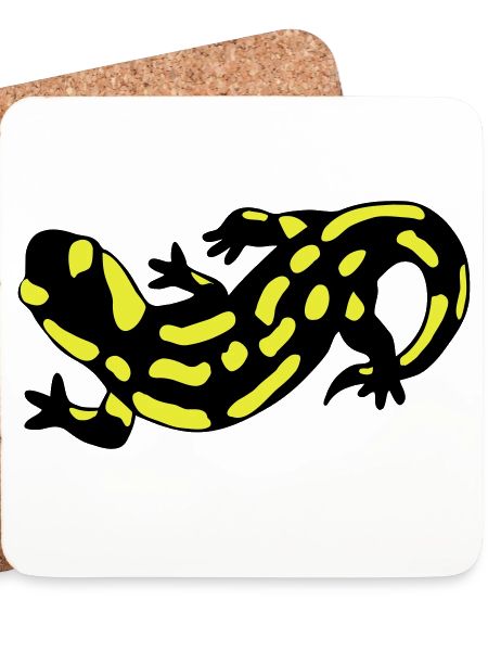 Salamander