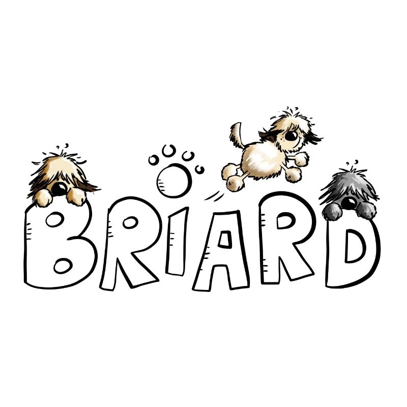 Briard Comic Font - Chien - Chiens