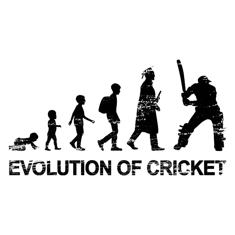 Entwicklung des Cricket