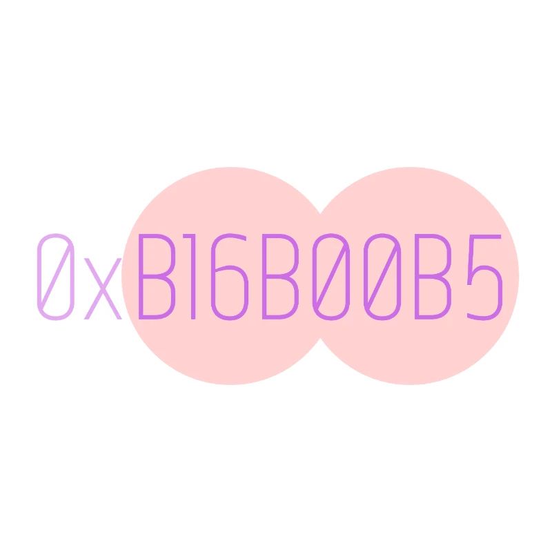 0xB16B00B5 Leetspeak 